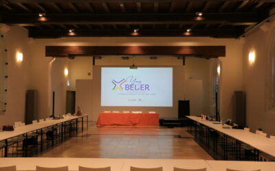 YoungBeder doctoral workshop: foto’s